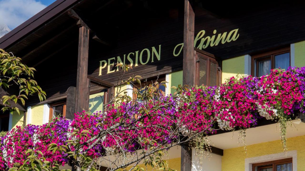 Cafe Pension Alpina Інсбрук Екстер'єр фото