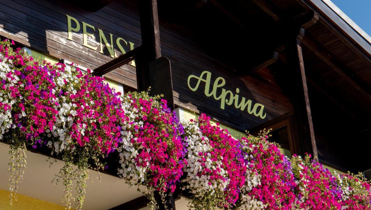 Cafe Pension Alpina Інсбрук Екстер'єр фото